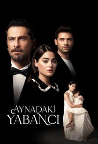 Незнакомец в зеркале смотреть онлайн 6,7,8 серия