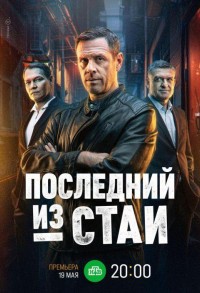 Последний из стаи смотреть онлайн 11,12,13 серия