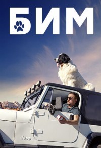 БиМ / Пес в законе смотреть онлайн 29,30,31 серия