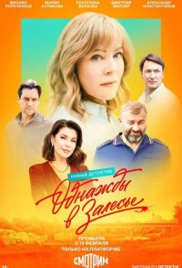 Однажды в Залесье смотреть онлайн 7,8,9 серия