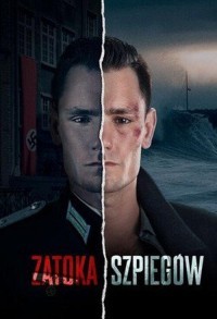 Шпионский залив смотреть онлайн 9,10,11 серия