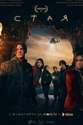 Смотреть Стая онлайн в HD качестве 720p