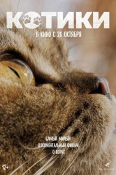 Смотреть Котики онлайн в HD качестве 720p