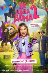 Смотреть Не одна дома 2 онлайн в HD качестве 720p