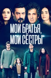 Смотреть Мои братья / Братья и сестры онлайн в HD качестве 720p