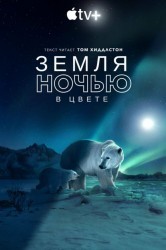 Смотреть Земля ночью в цвете онлайн в HD качестве 720p