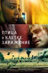 Смотреть Птица в клетке онлайн в HD качестве 720p