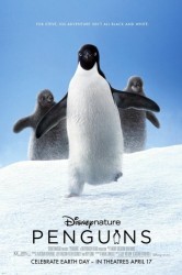 Смотреть Пингвины онлайн в HD качестве 720p