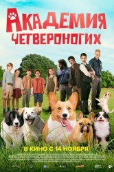 Смотреть Академия четвероногих онлайн в HD качестве 720p