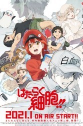 Смотреть Клетки за работой! онлайн в HD качестве 720p