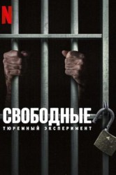 Смотреть Свободные: Тюремный эксперимент онлайн в HD качестве 720p