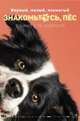 Смотреть Знакомьтесь, пес онлайн в HD качестве 720p