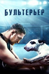 Смотреть Бультерьер онлайн в HD качестве 720p
