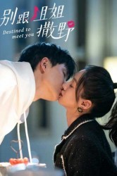 Смотреть Суждено встретиться с тобой онлайн в HD качестве 720p