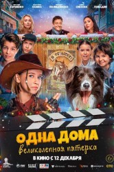 Смотреть Одна дома. Великолепная пятерка онлайн в HD качестве 720p