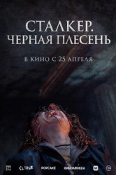 Смотреть Сталкер. Черная плесень онлайн в HD качестве 720p