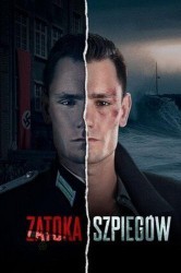 Смотреть Шпионский залив онлайн в HD качестве 720p