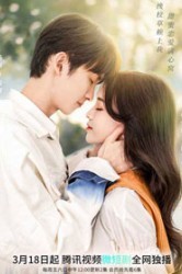 Смотреть Красавчик кампуса / Школьный красавчик онлайн в HD качестве 720p