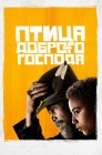 Смотреть Птичка господа милосердного онлайн в HD качестве 