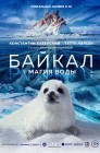 Смотреть Байкал. Магия воды онлайн в HD качестве 