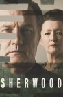 Смотреть Шервуд онлайн в HD качестве 
