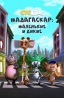 Смотреть Мадагаскар: Маленькие и дикие онлайн в HD качестве 