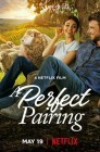 Смотреть Идеальное сочетание онлайн в HD качестве 