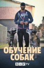 Смотреть Обучение собак онлайн в HD качестве 