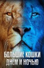 Смотреть Большие кошки днём и ночью онлайн в HD качестве 