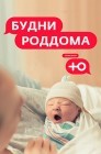 Смотреть Будни роддома онлайн в HD качестве 