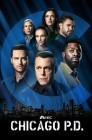 Смотреть Полиция Чикаго онлайн в HD качестве 